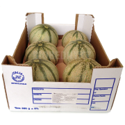 Meloun Cantalupo - Itálie (bedna cca 8 kg)